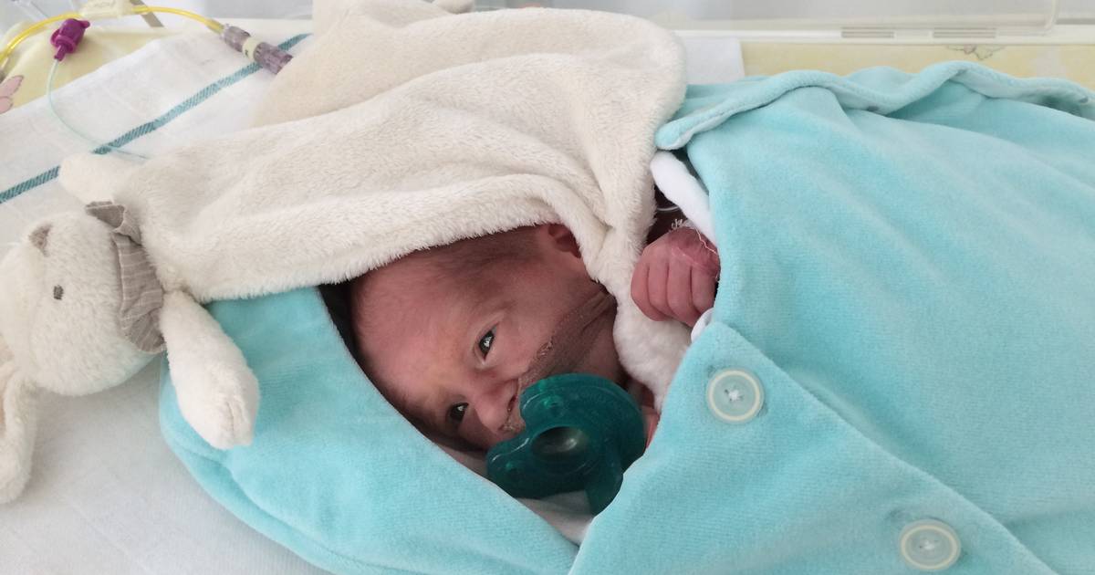 Ce Cocon Imagine Par Une Belge Aide Le Bebe Premature A Retrouver Sa Position Fœtale Famille 7sur7 Be