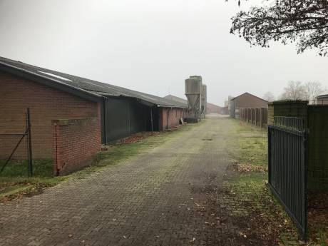 Bewoners geplaagd De Elzen wachten met smart op saneringsplan, ‘al zeven maanden niks gehoord’
