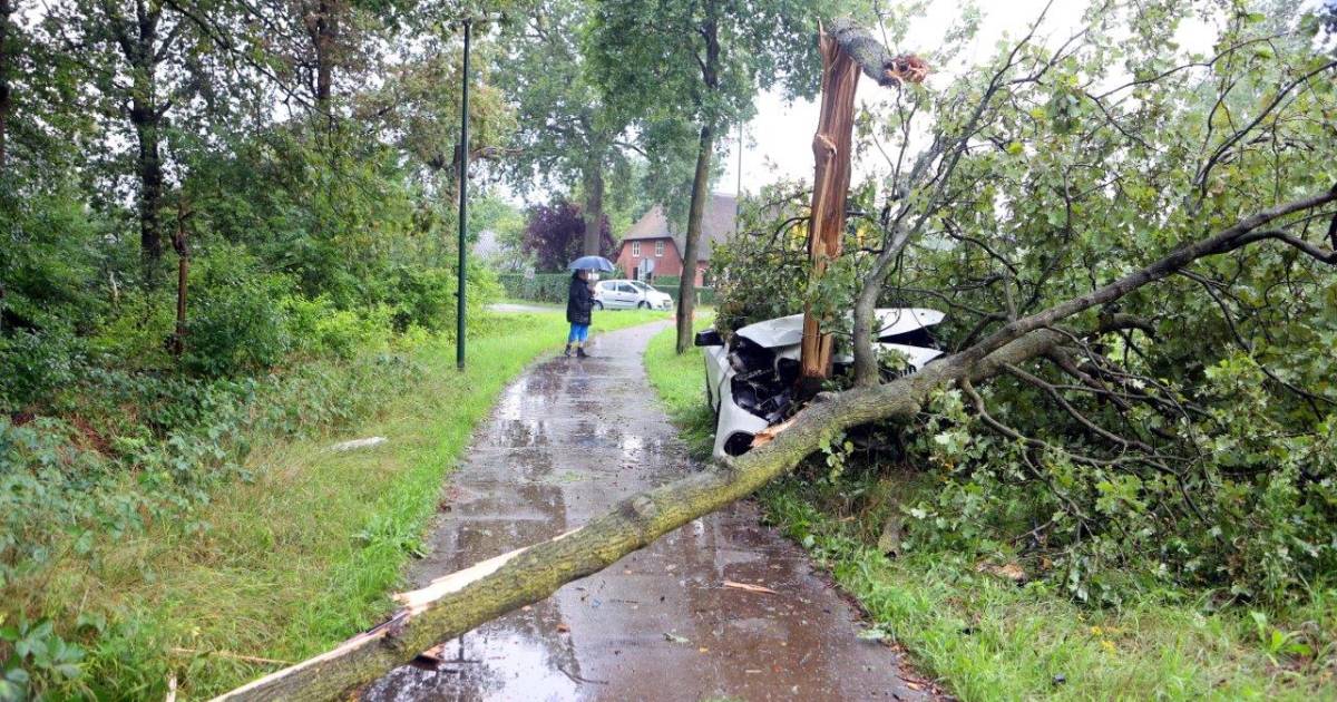 Automobilist gaat ervandoor na zware botsing tegen boom in Helvoirt.