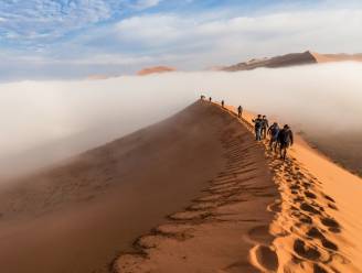 Oneindige woestijnvlaktes, een ‘Duitser dan Duits’ stadje en kajakken tussen de zeeleeuwen: Namibië is meer dan safari