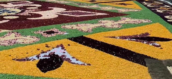 Activisten vertrappelen bloementapijt op Grote Markt