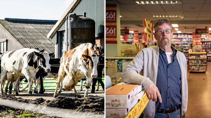 Links: koeien. Bijna duizend boeren in deze regio verwachten een juridische heksenjacht, als het ministerie de adressen bekendmaakt van ‘illegale’ uitstoters van stikstof. Rechts: Theo Sanders, het gezicht van de Marskramer in Denekamp.