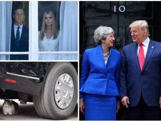 Kat van Downing Street slaat weer toe en Camilla grijpt haar kans: de grappigste momenten van Trumps bezoek aan de UK