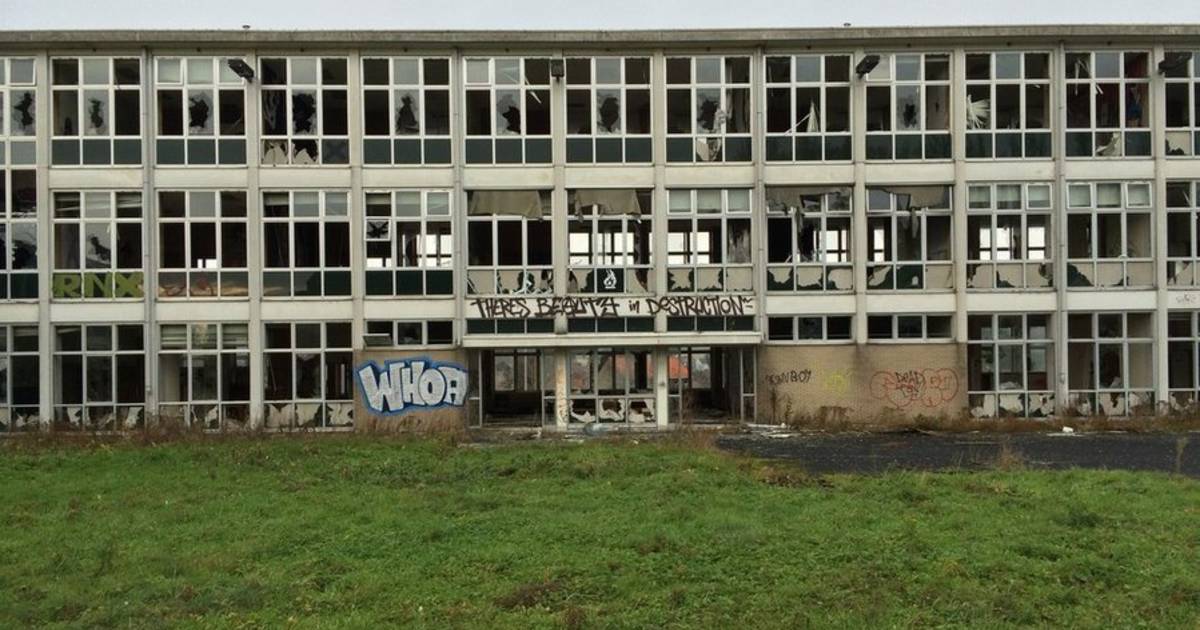 Verborgen parels in verlaten gebouw in Ronse | Het leukste ...