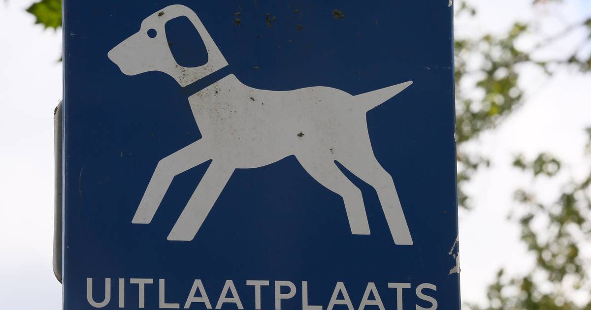 wond Om te mediteren Validatie Gestolen hekwerk hondenuitlaatplaats in Hoeven snel vervangen | Roosendaal  | pzc.nl
