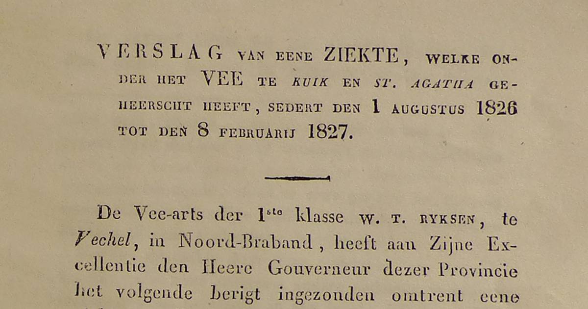 Besmettelijke ziekte onder het vee slaat hard toe in Sint Agatha
