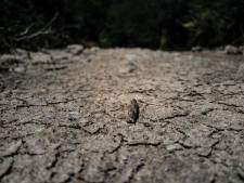 “Du jamais vu”: la France touchée par une sécheresse hivernale