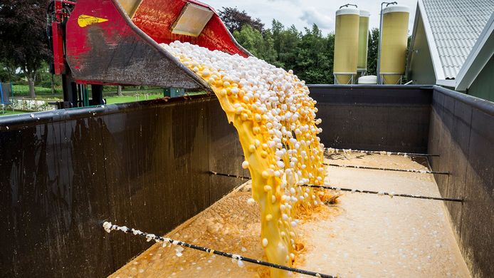 Miljoenen eieren moesten worden vernietigd nadat was gebleken dat in de kippenstallen een reinigingsmiddel was gebruikt , met daarin de insecticide fipronil.