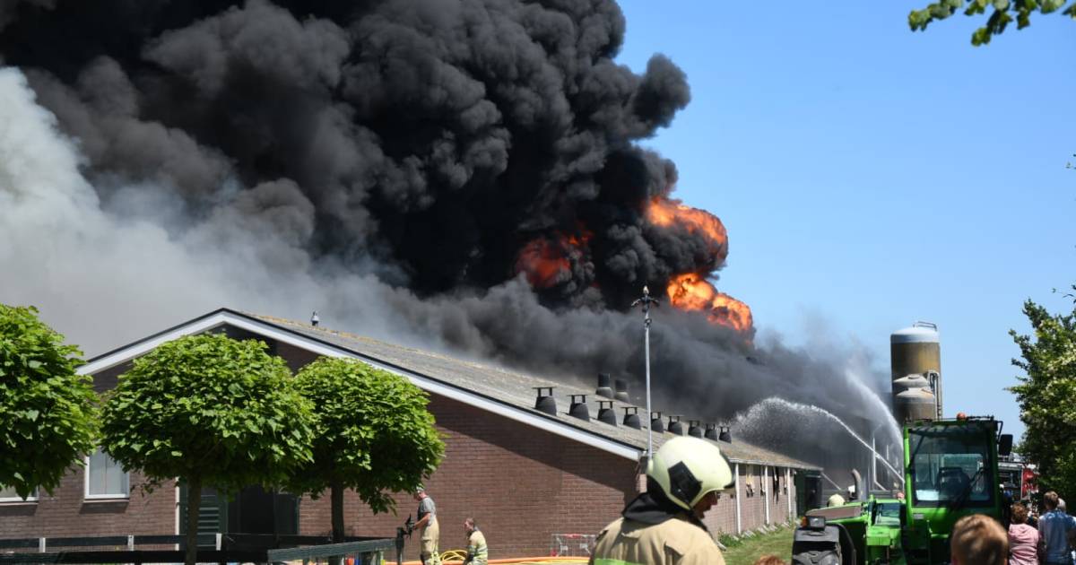 Elke week vliegt er een stal met dieren in brand (en de kans daarop wordt steeds groter) - BN DeStem