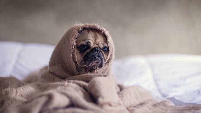 Cette erreur que l'on commet tous en s’habillant pour ne pas avoir froid