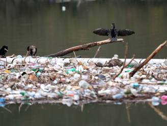 Jaar na jaar meer plastic voor eenmalig gebruik bij het afval 