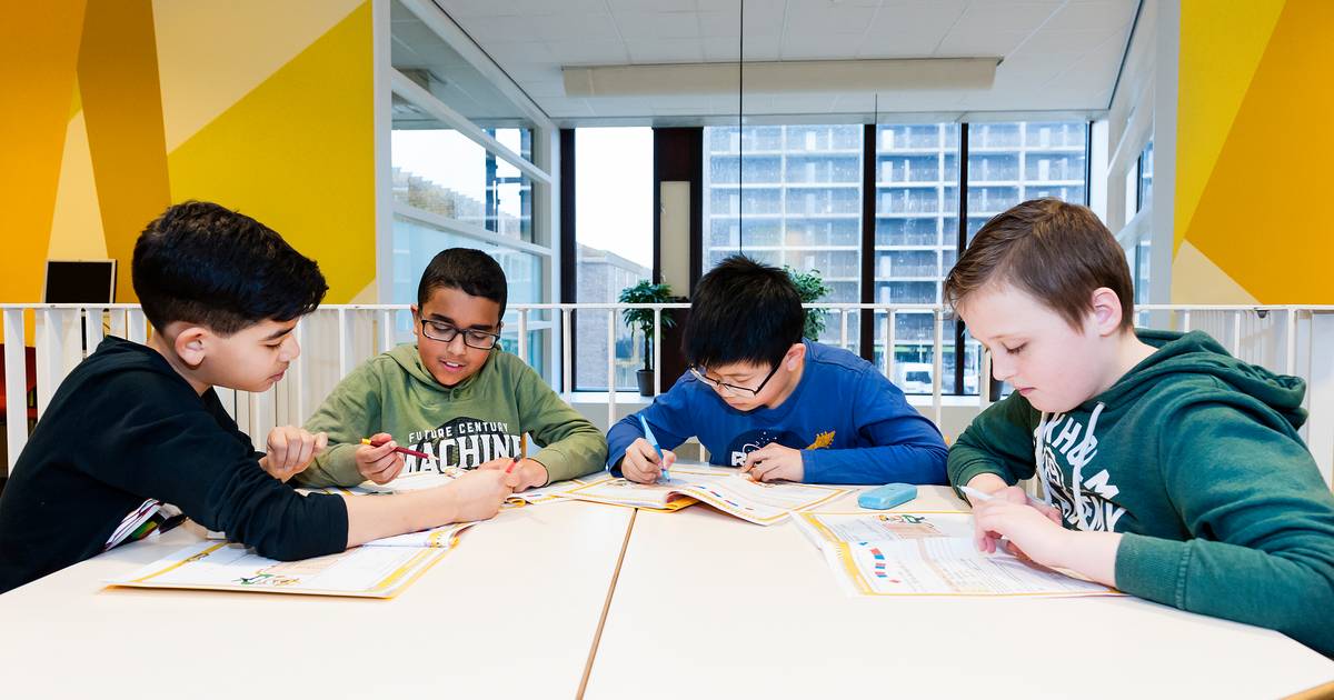 Openbaar Primair Onderwijs Zoetermeer moet op zoek naar nieuwe voorzitter Zoetermeer AD.nl
