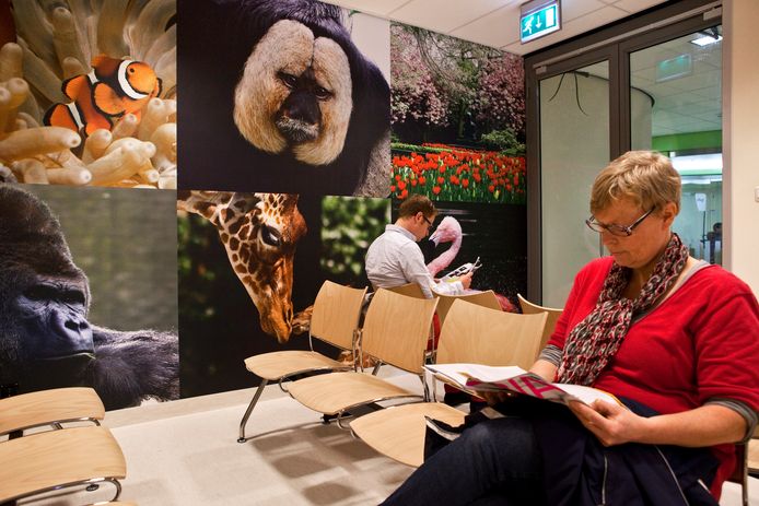 Foto ter illustratie
