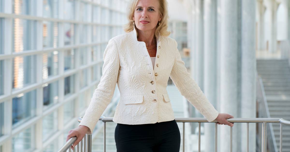 Rechtbank OostBrabant krijgt nieuwe president Brabant bd.nl