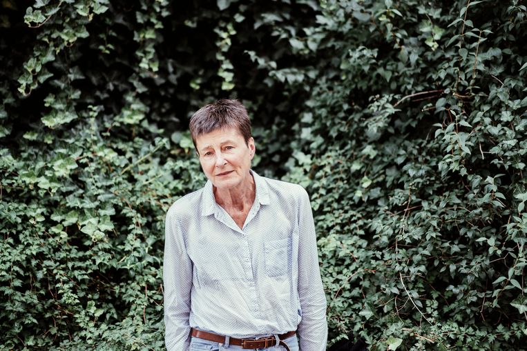 Stamcelpionier Verfaillie reageert op fraudeonderzoek ‘Er zijn