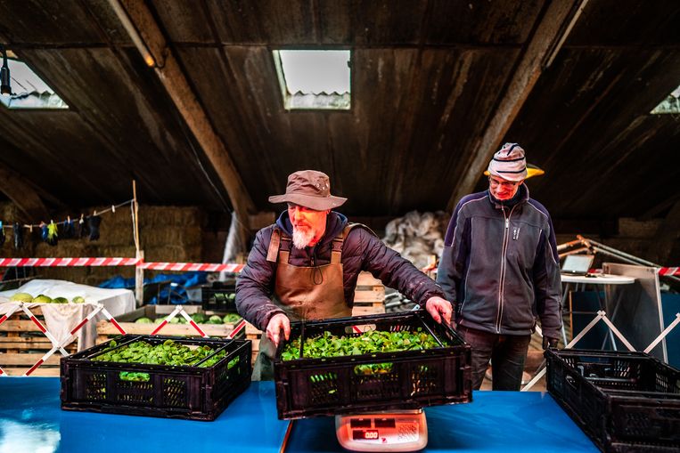 Herenboerderij Aan den Drecht in Leimuiden. Beeld Joris van Gennip