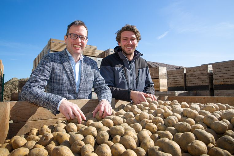 Arable farmers want to secure their future with hemp and resilient potatoes