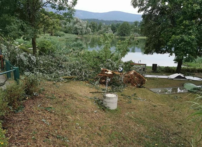 Door het noodweer vielen verschillende bomen om nabij een klein meer in het Oostenrijkse stadje Sankt Andrä.