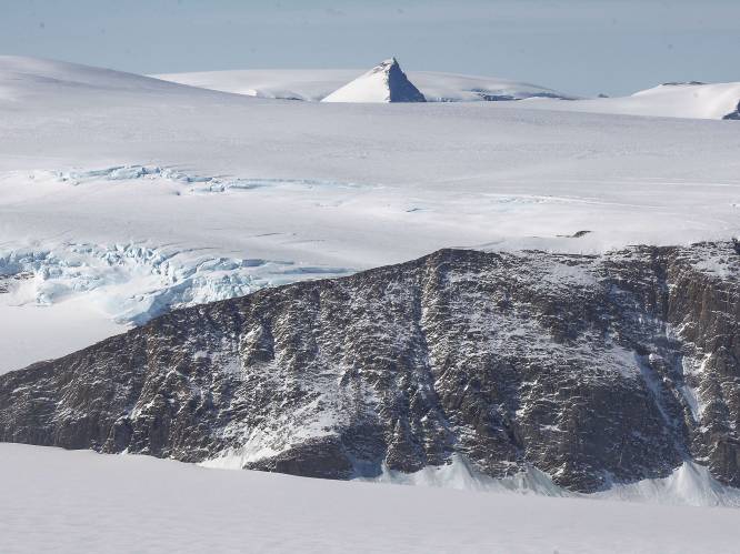Wetenschappers vinden bos van 260 miljoen jaar oud op Zuidpool