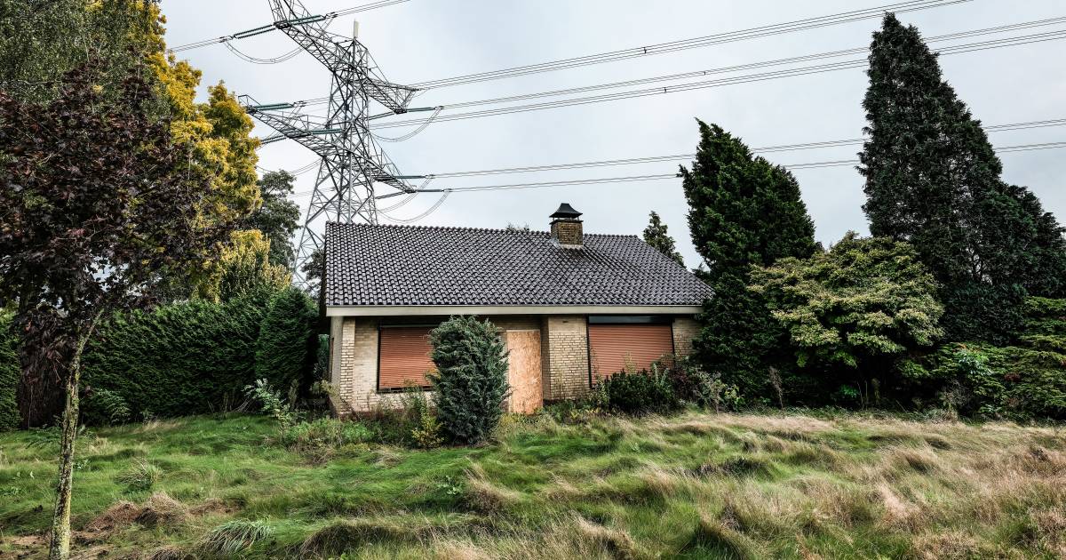 Vleermuizen en steenmarters voorkomen sloop 'hoogspanningshuis' Groessen | Liemers | gelderlander.nl