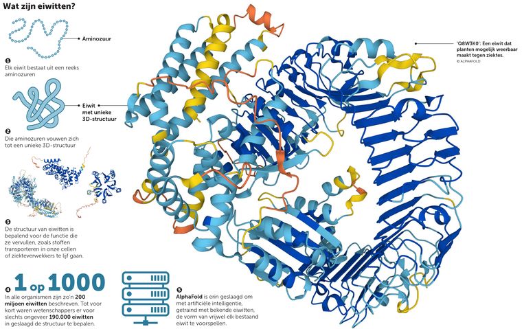 ‘Questo sta rivoluzionando le scienze della vita’: Google svela il mondo delle proteine