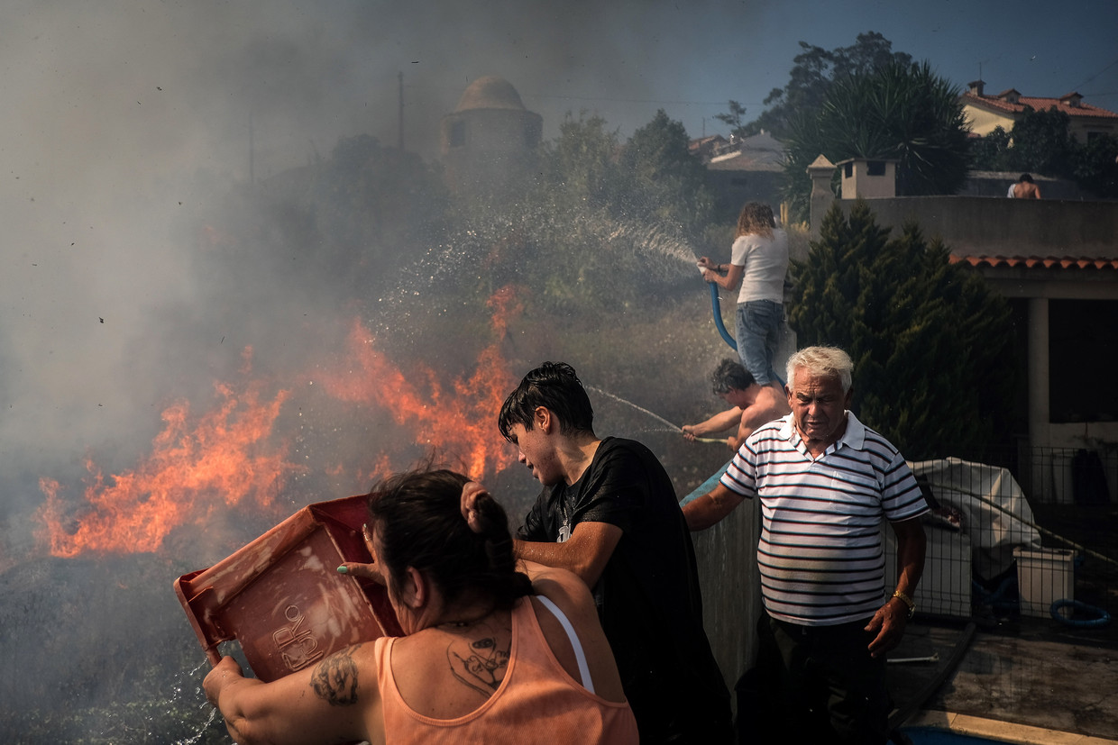 Locals fight with garden hoses and buckets of water against an advancing fire on the outskirts of Lisbon, Portugal.  Image by ANP / EPA