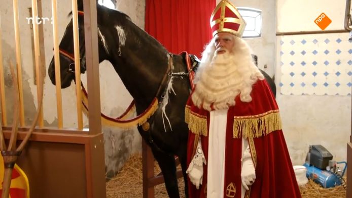 Ruim 600.000 kijkers zien dat Sinterklaas’ paard Ozosnel niet wit, maar ...
