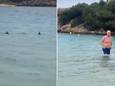 Haaien omcirkelen Brits gezin aan strand op Menorca