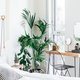 Wil je beter slapen? Deze 5 planten zorgen voor een betere nachtrust