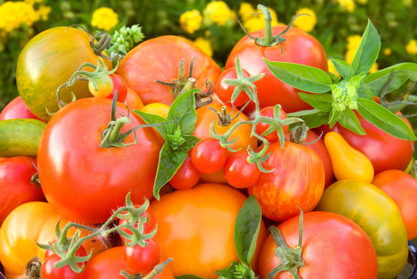 Minder vlees en zuivel, maar wat eten we dan wel? Dít is het gezondste eetpatroon ter wereld