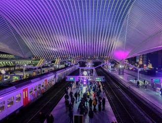 Verdacht pakket gevonden op perron: station Luik geëvacueerd, treinverkeer stilgelegd