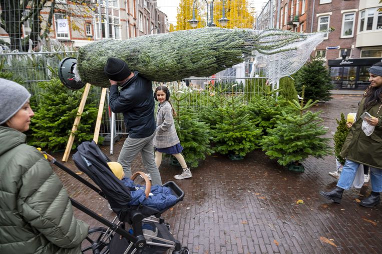Echt of nep wat is de duurzaamste kerstboom? Het Parool