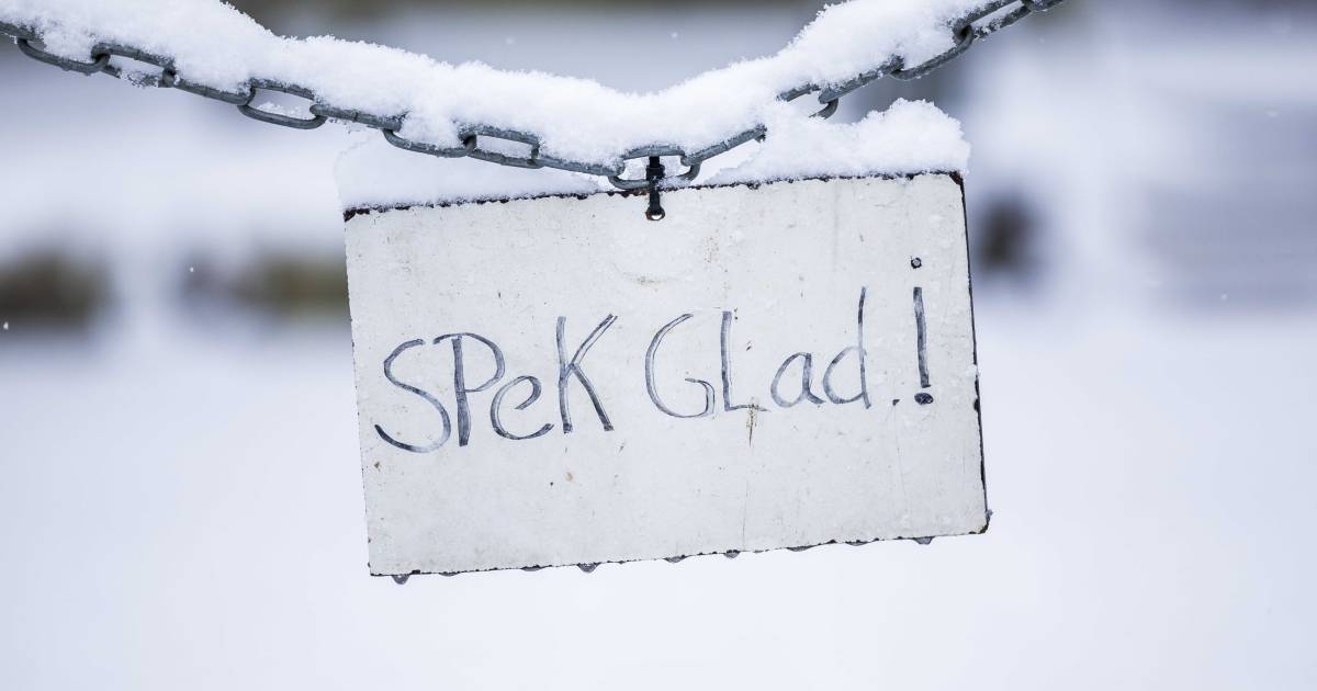 Winterse buien trekken over ons land: laagje sneeuw in Noorden, ijzel in zuidwesten