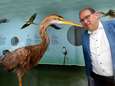 Het nieuwe Vogeltheater wordt de entree van Kinderdijk: ‘Het gebied kent een grote biodiversiteit’