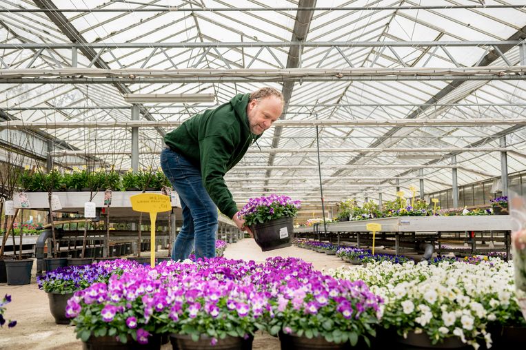 René van Emmerik is bedrijfsleider van Kwekerij Groeneveld. “In een strenge winter gaat er veel dood, goed voor de omzet.” Beeld Bram Petraeus