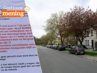 OPROEP. Dreigende kaalslag in iconische Ter Rivierenlaan in Deurne: moet district plannen voor heraanleg bijsturen?  