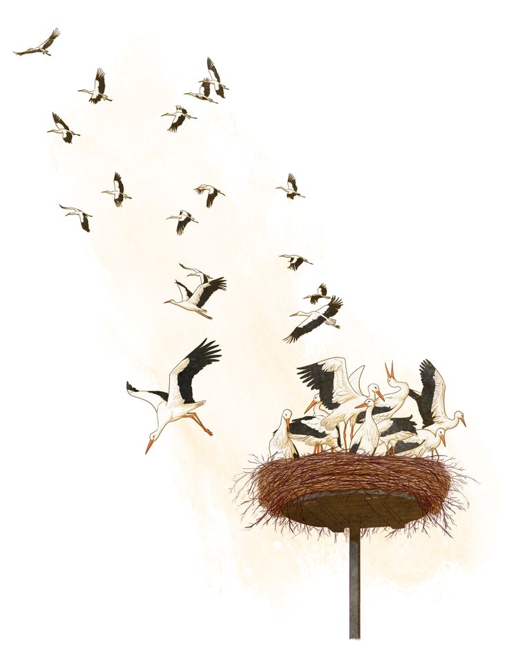 Spermadonor Jonathan Heeft Wereldwijd Al Honderden Kinderen Verwekt En Stoppen Is Hij Voorlopig Niet Van Plan De Volkskrant