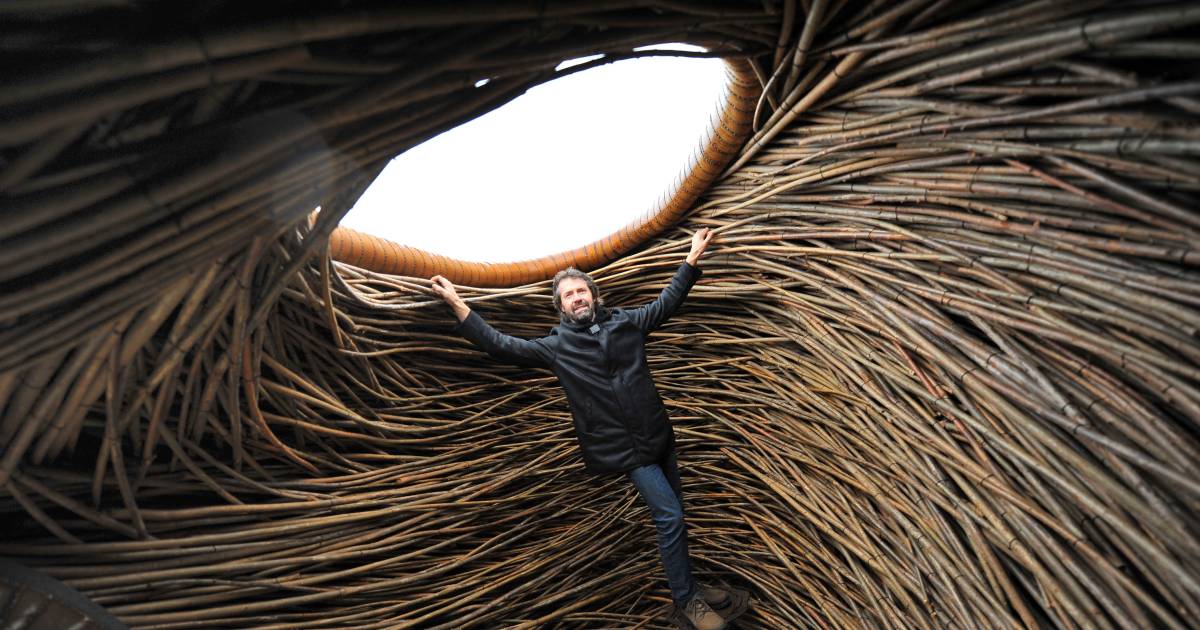 Kunstroute vol prikkels in Sterksel | Cranendonck, Heeze-Leende