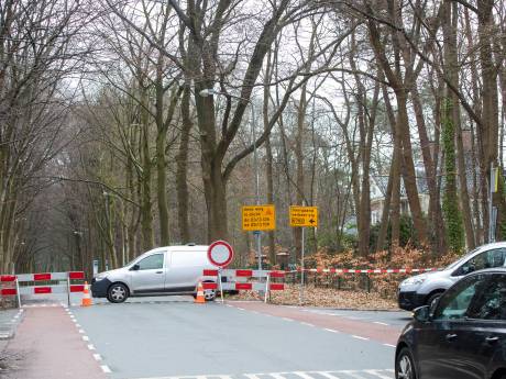 Waarom veel tv-kijkers uitkijken naar een ‘gruwelijke gebeurtenis’ in dit bos