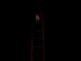 VIDEO. Waaghals beklimt ladder Sint-Jacobskerk in Gent