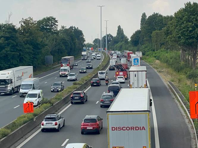 50 minuten file op de E40 door ongeval richting Gent ter hoogte van Drongen: één rijstrook en afrit versperd