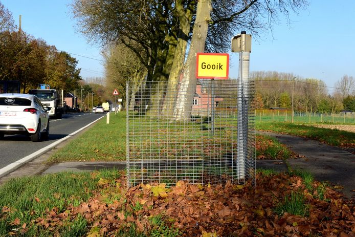 Bladkorven langs de Edingsesteenweg in Gooik.