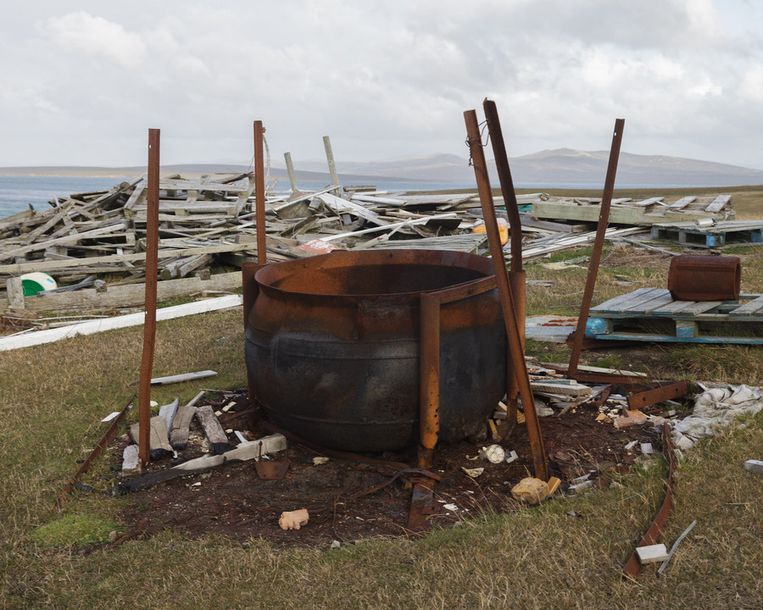 Overblijfselen van een pot gebruikt om pingui¿ns te koken, omstreeks 1765 -1770 op Port Egmont op Saunders Island Beeld Peter Lipton