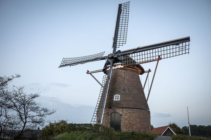 Foto van de molen van Frielink in het landschap. Molen wordt overgedragen aan Landschap Overijssel. Is nu nog van de gemeente Tubbergen.