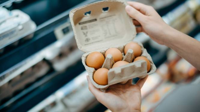 Zo herken je ‘foute’ eitjes uit de Oekraïense legbatterij: ‘Kijk op het etiket’