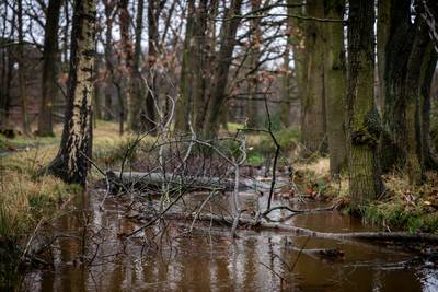 Lezing in Bakel over veranderend klimaat
