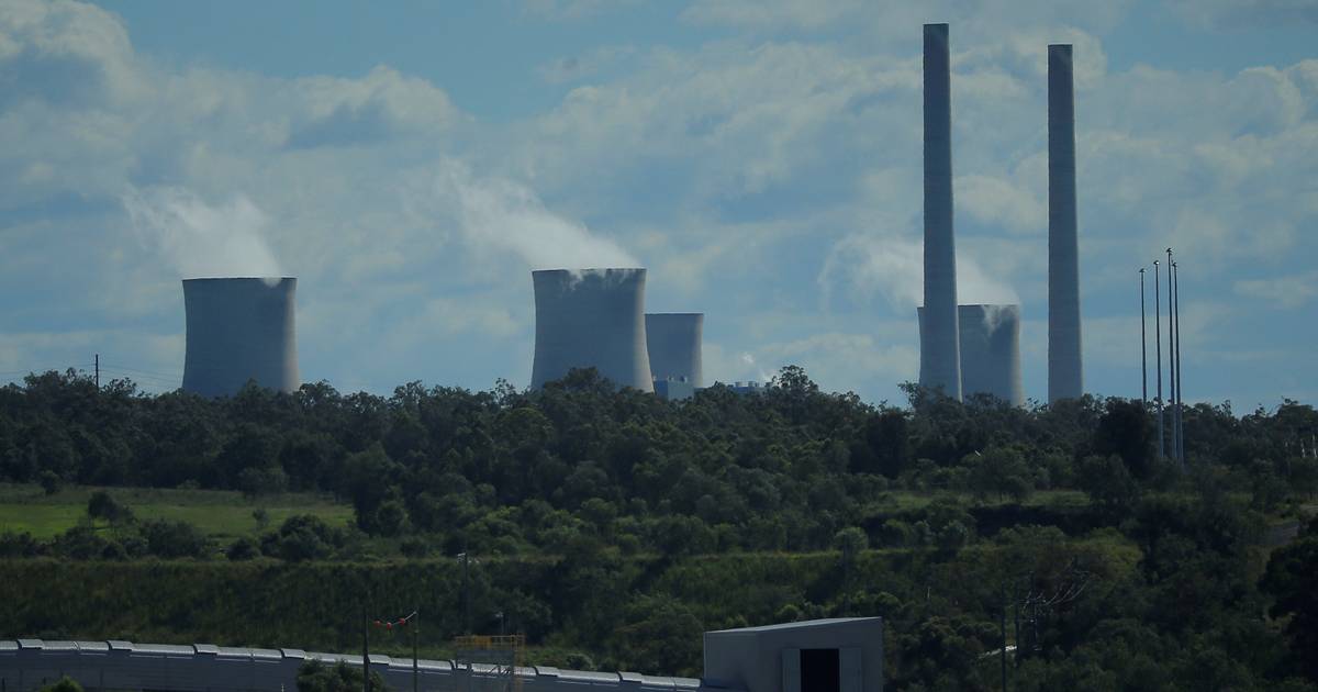 Il terzo uomo più ricco d’Australia si offre di chiudere le centrali elettriche a carbone |  All’estero