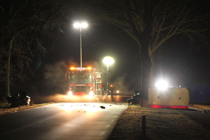 Bij een eenzijdig ongeval in Bornerbroek kwam een automobilist om het leven.