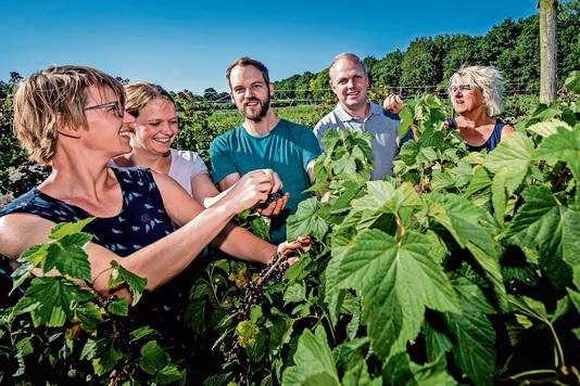 De familie Franken uit Bergen op Zoom schrijft om beurten over het wel en wee op hun fruitteeltbedrijf.