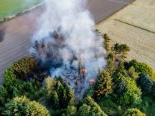 Brand in stuk bos in Tilburg, zeven brandweerwagens opgeroepen